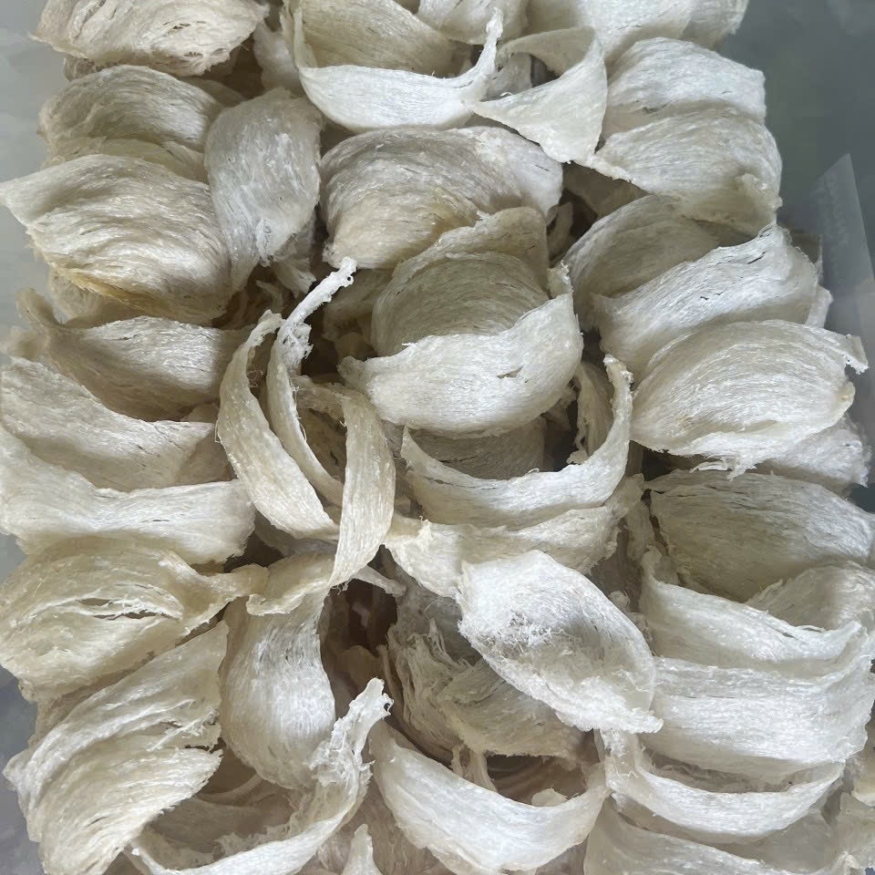 z5505221627210_8df0887af9acf74728028a33cb17bf7f z5505221627210_8df0887af9acf74728028a33cb17bf7f