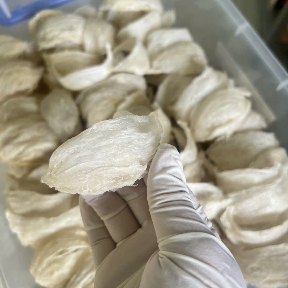 z5505221639523_1db3faa88e34841f7331089a54b2685e z5505221639523_1db3faa88e34841f7331089a54b2685e