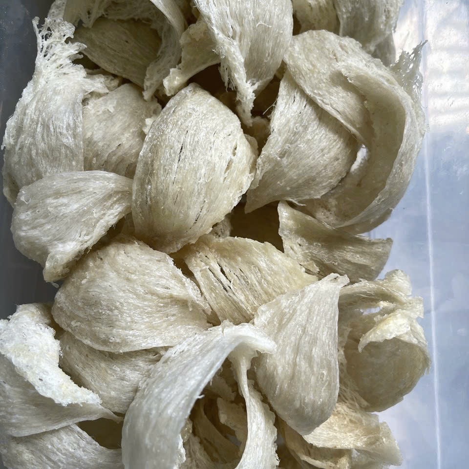 z5505221670382_32326d5f1db029353a276c2a47713ca7 z5505221670382_32326d5f1db029353a276c2a47713ca7